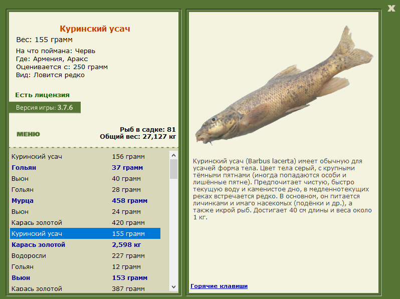 турниры • РУССКАЯ РЫБАЛКА