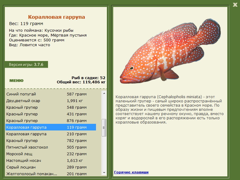 турниры • РУССКАЯ РЫБАЛКА