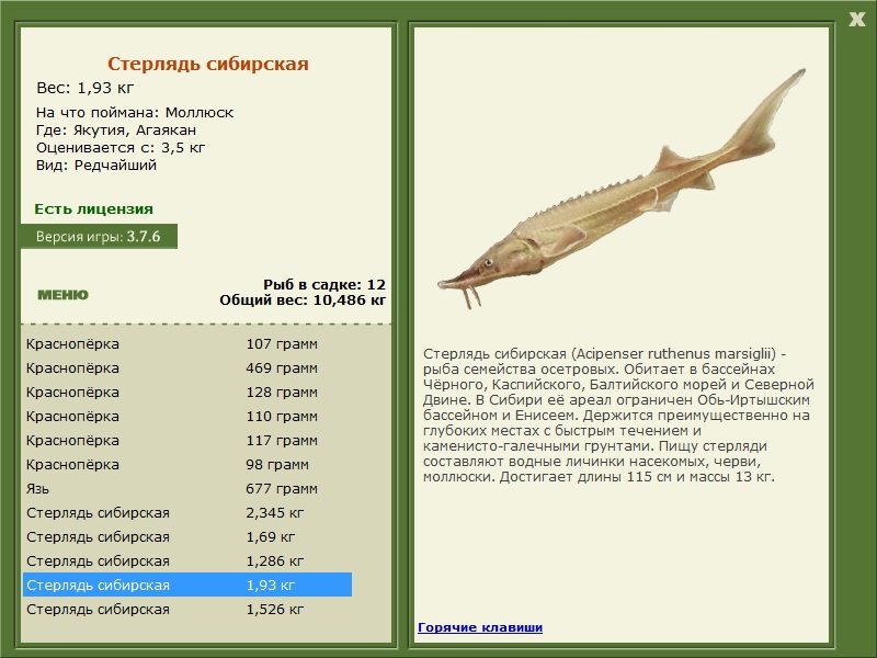 РУССКАЯ РЫБАЛКА Installsoft Edition 