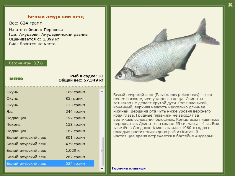 Амударьинский разлив 