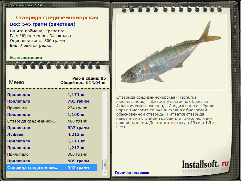 турниры • РУССКАЯ РЫБАЛКА