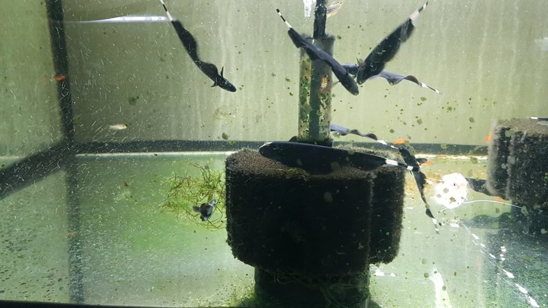  Ответить