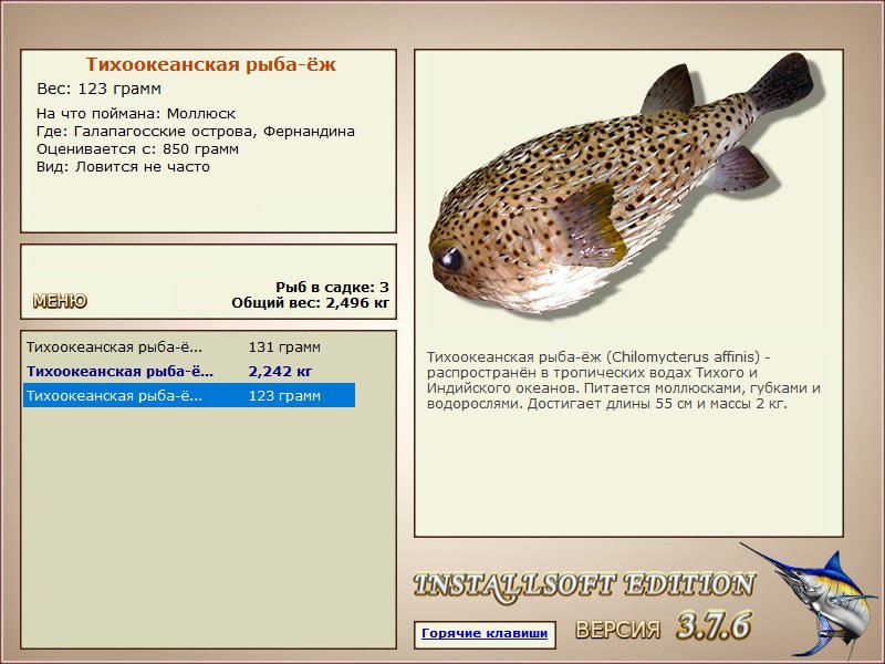 Фернандина 