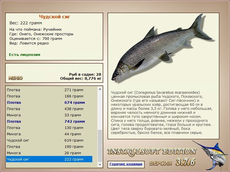турниры • РУССКАЯ РЫБАЛКА