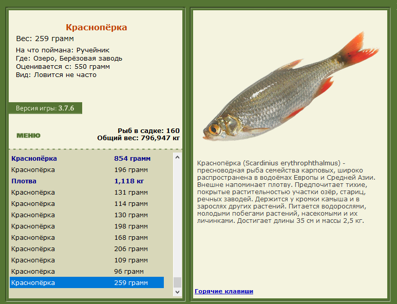 РУССКАЯ РЫБАЛКА Installsoft Edition 