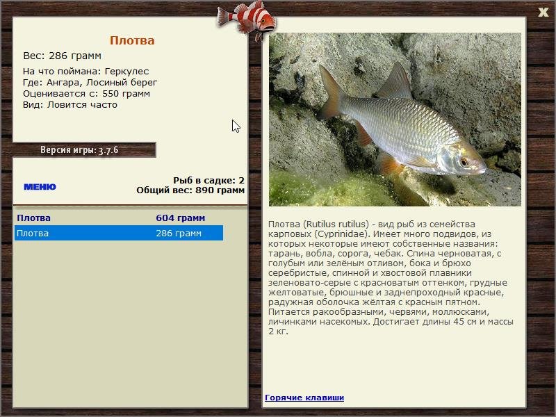 турниры • РУССКАЯ РЫБАЛКА
