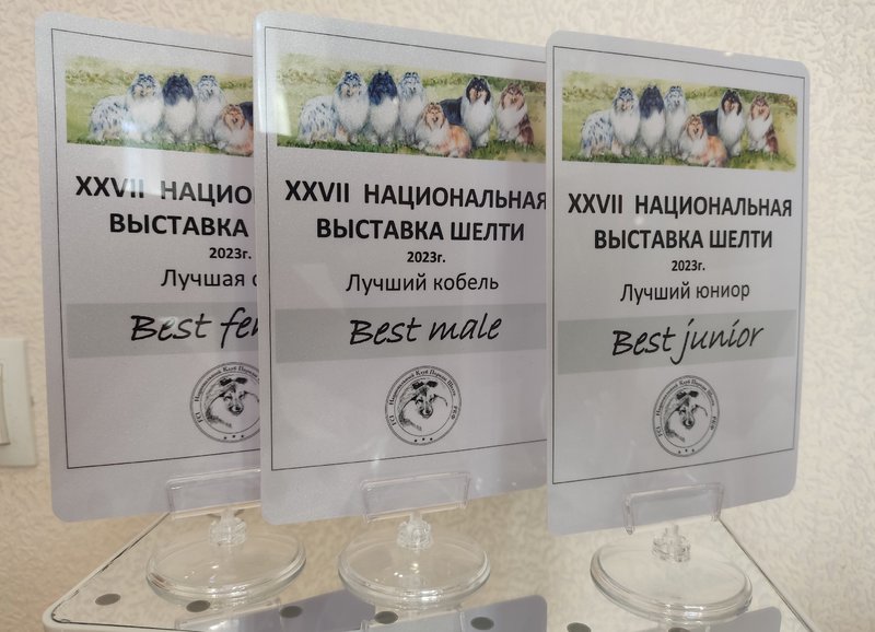  НВШ 22.04.2023 г. г. Екатеринбург