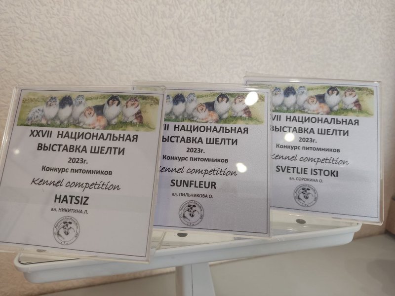 ФОРУМ ЛЮБИТЕЛЕЙ КОЛЛИ И ШЕЛТИ 