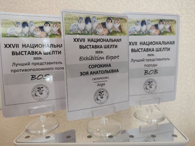 ФОРУМ ЛЮБИТЕЛЕЙ КОЛЛИ И ШЕЛТИ 