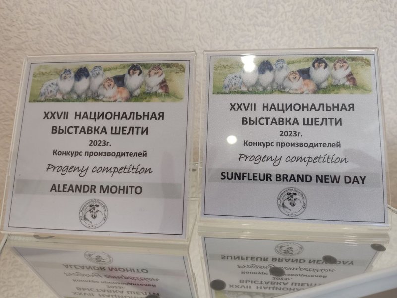 ФОРУМ ЛЮБИТЕЛЕЙ КОЛЛИ И ШЕЛТИ 