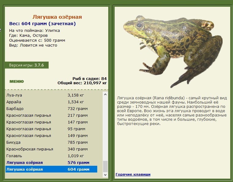 Остров 