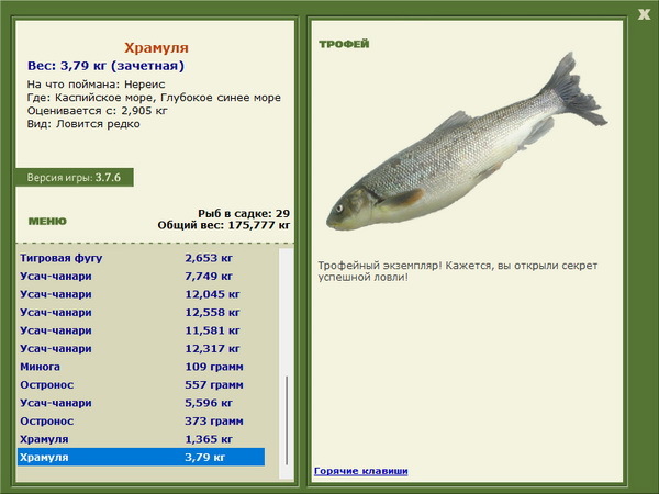 РУССКАЯ РЫБАЛКА Installsoft Edition 