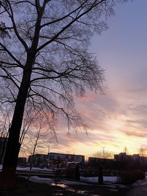  Страница 115 - Форум 