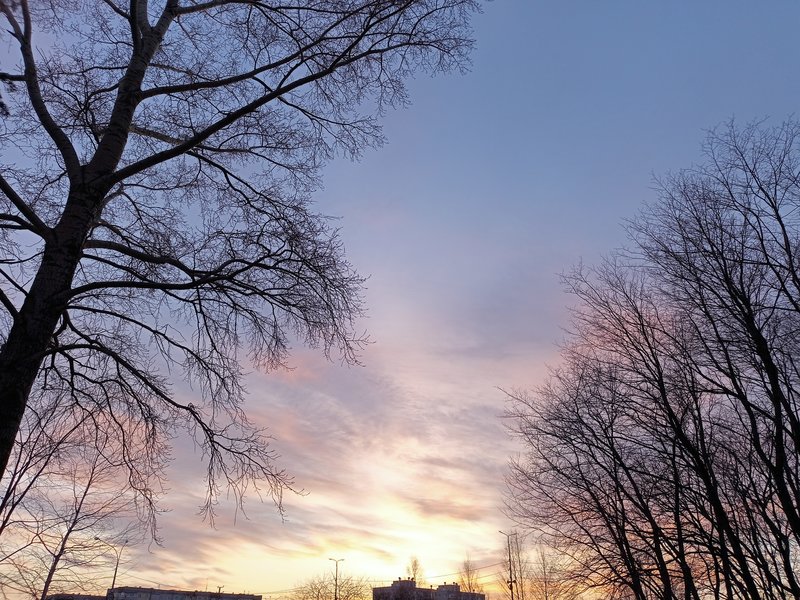  Страница 115 - Форум 