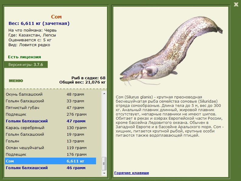 турниры • РУССКАЯ РЫБАЛКА