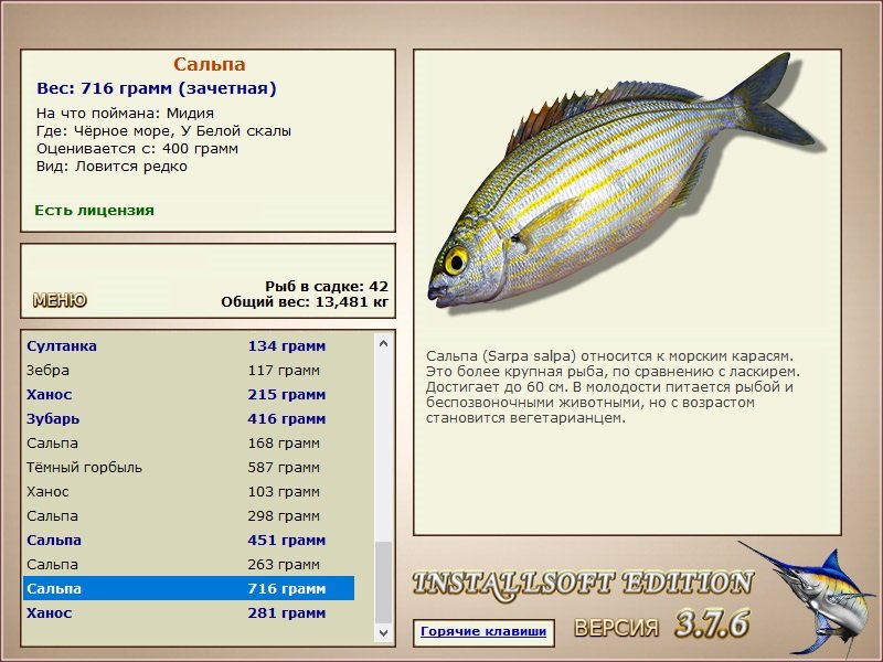 У Белой скалы 