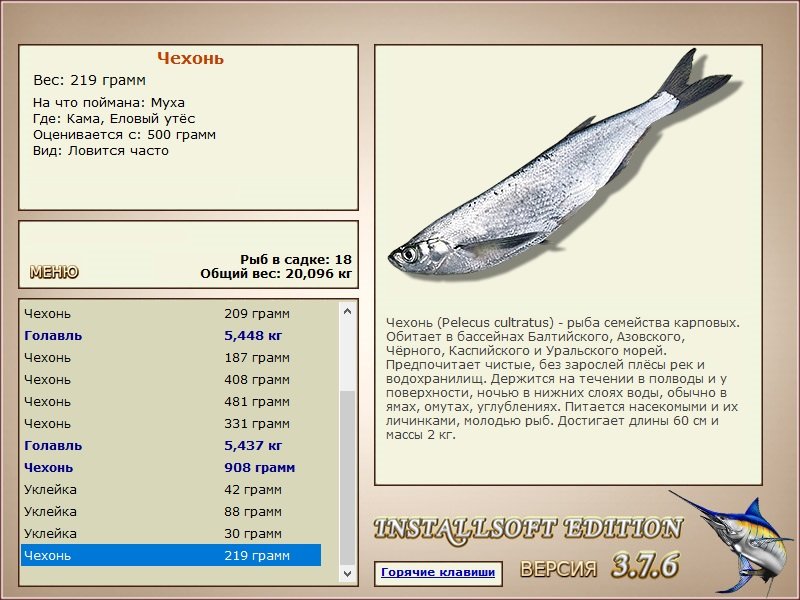 турниры • РУССКАЯ РЫБАЛКА