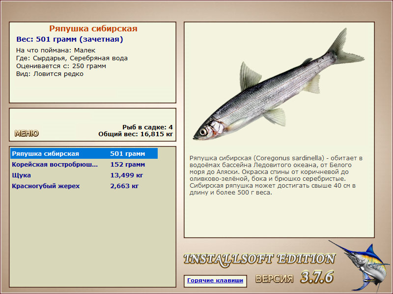 Сырдарья 
