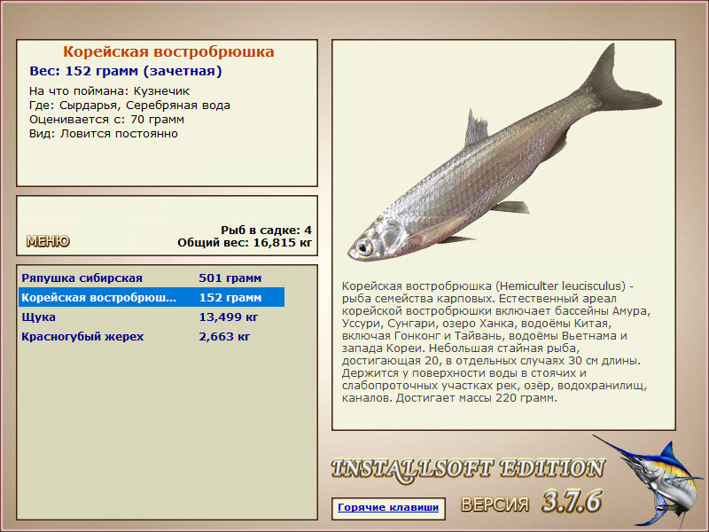 Сырдарья 