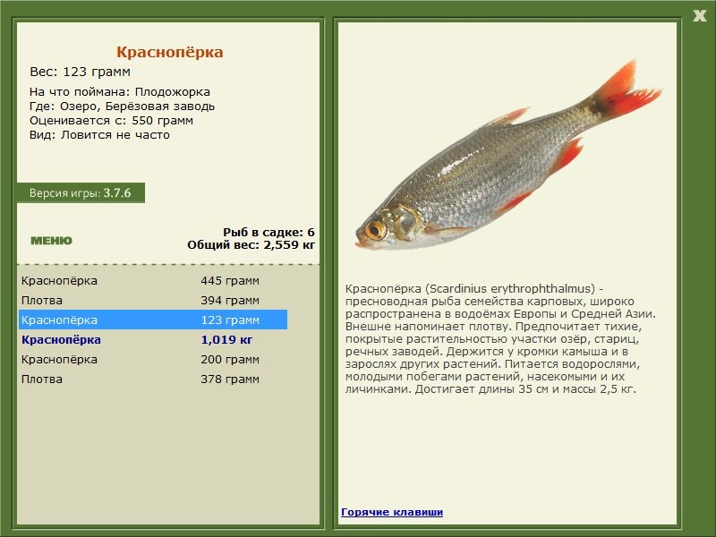 турниры • РУССКАЯ РЫБАЛКА