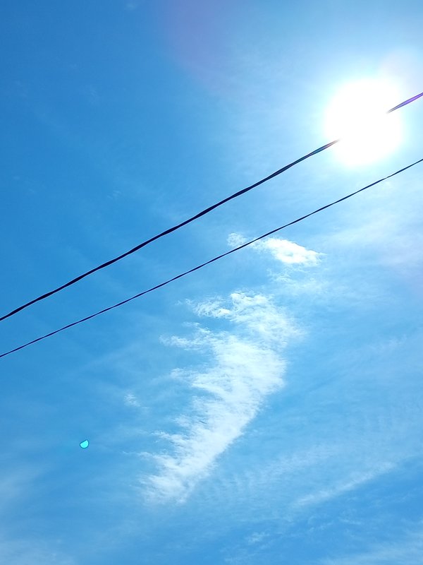  Страница 116 - Форум 