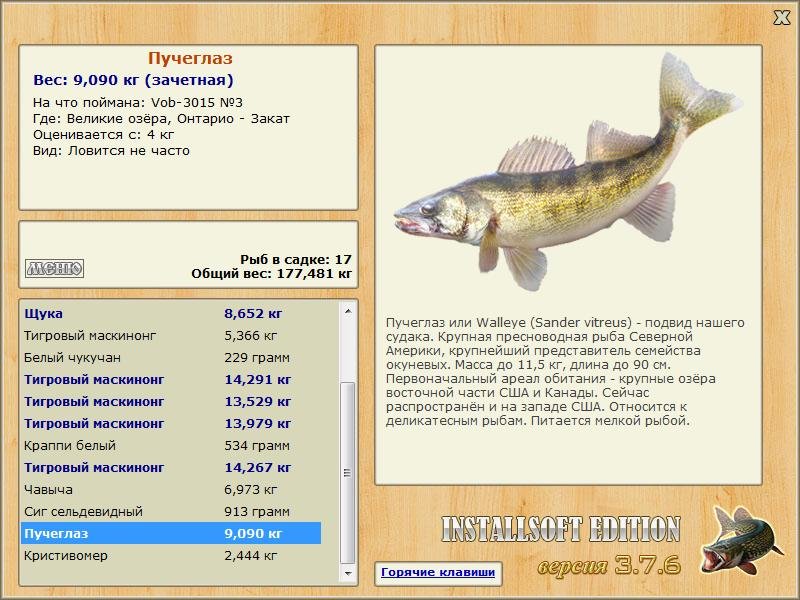 Великие Американские озёра 