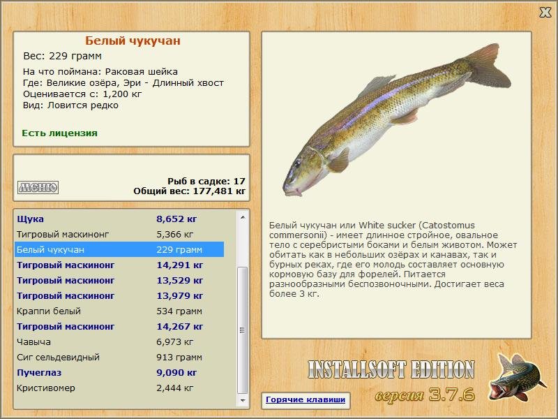 Великие Американские озёра 