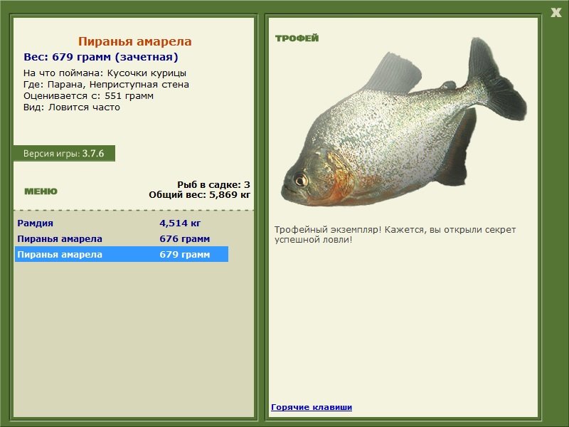 Пиранья амарела 