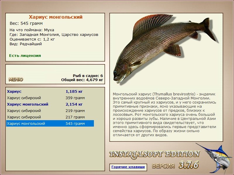 турниры • РУССКАЯ РЫБАЛКА