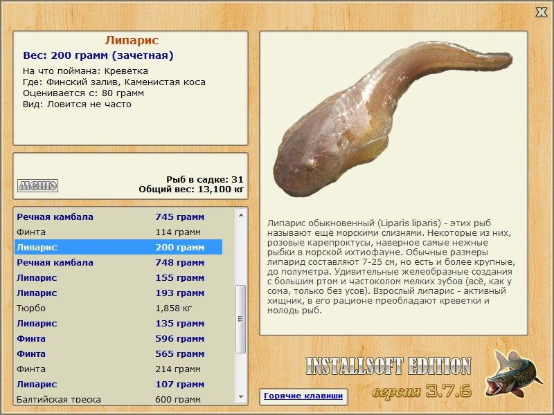 Каменистая коса 