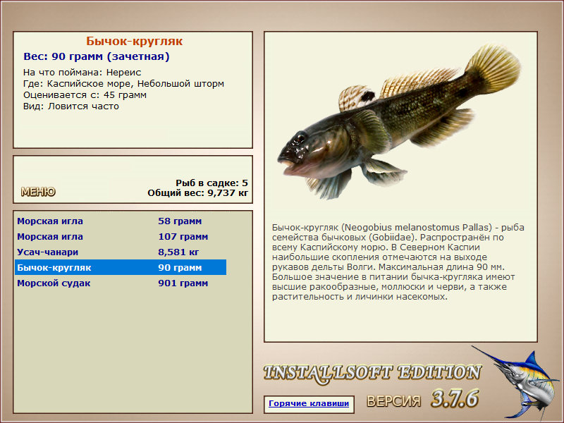 Каспийское море 
