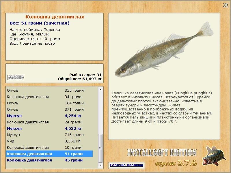 Малык 