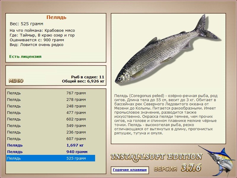 турниры • РУССКАЯ РЫБАЛКА