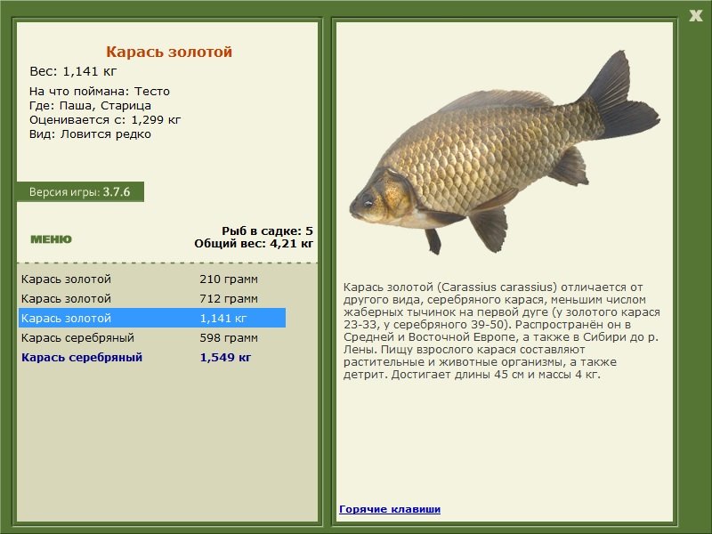 турниры • РУССКАЯ РЫБАЛКА