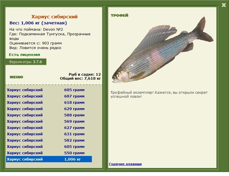 Хариус сибирский 