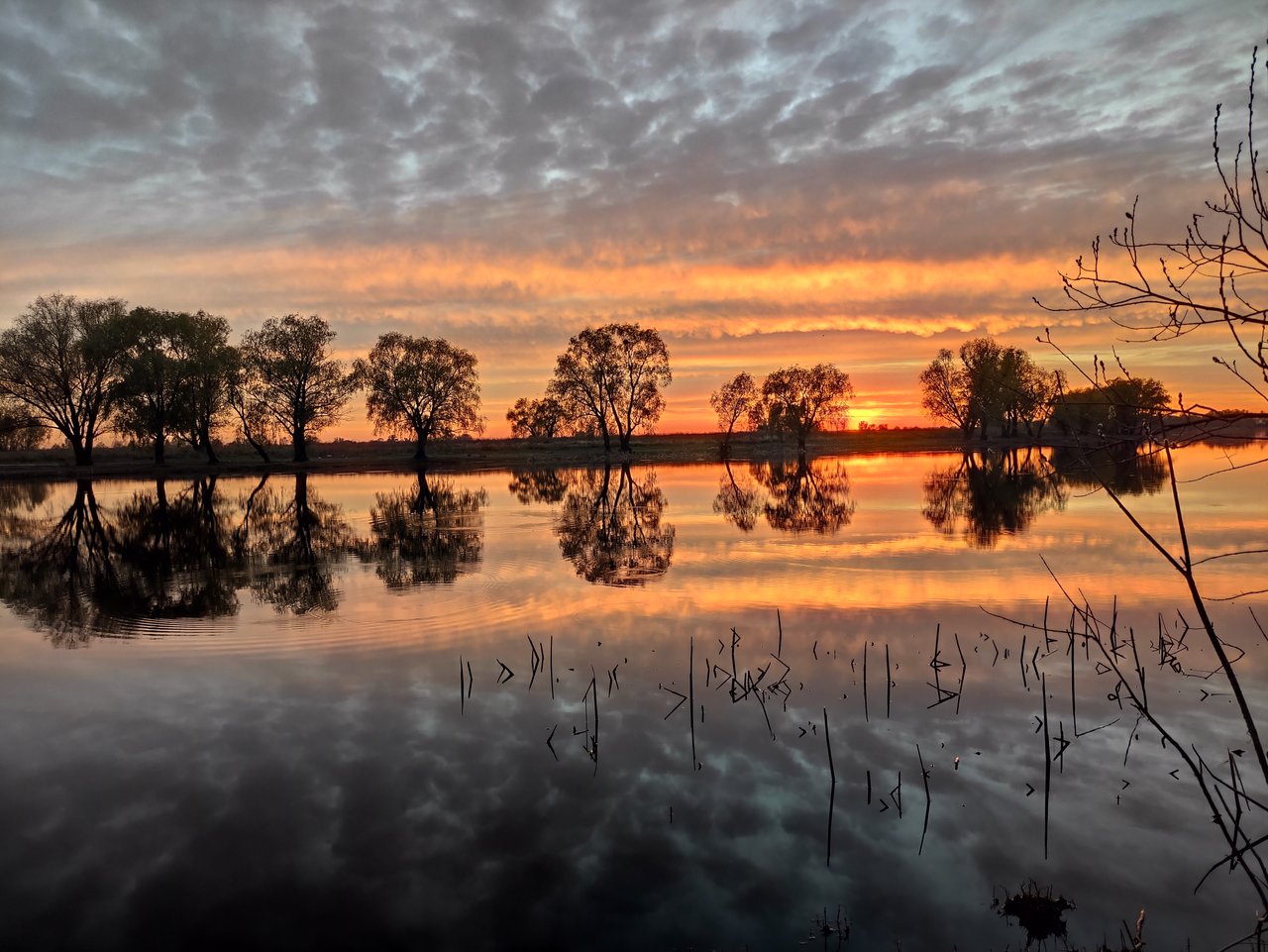  Страница 116 - Форум 