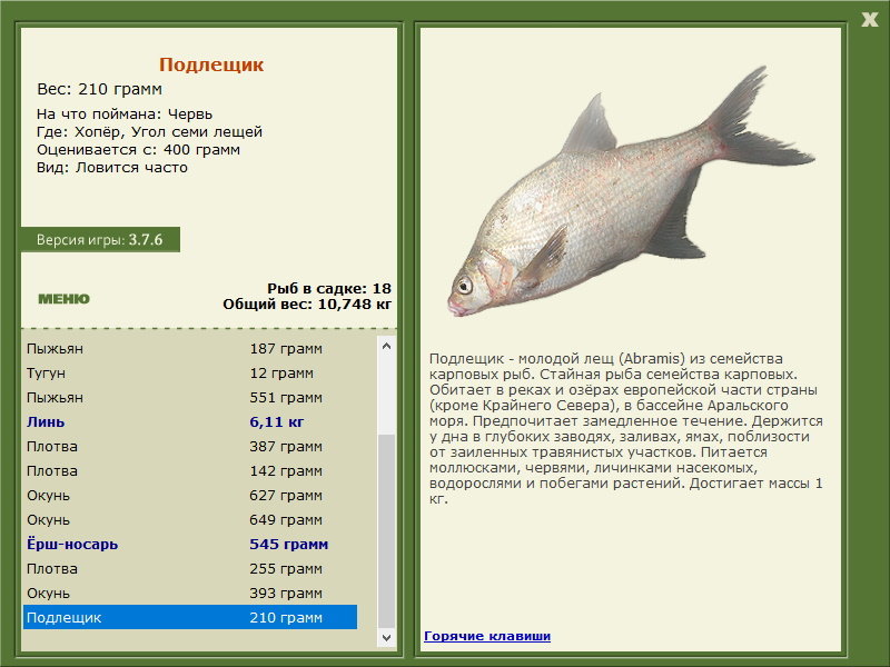 РУССКАЯ РЫБАЛКА Installsoft Edition 