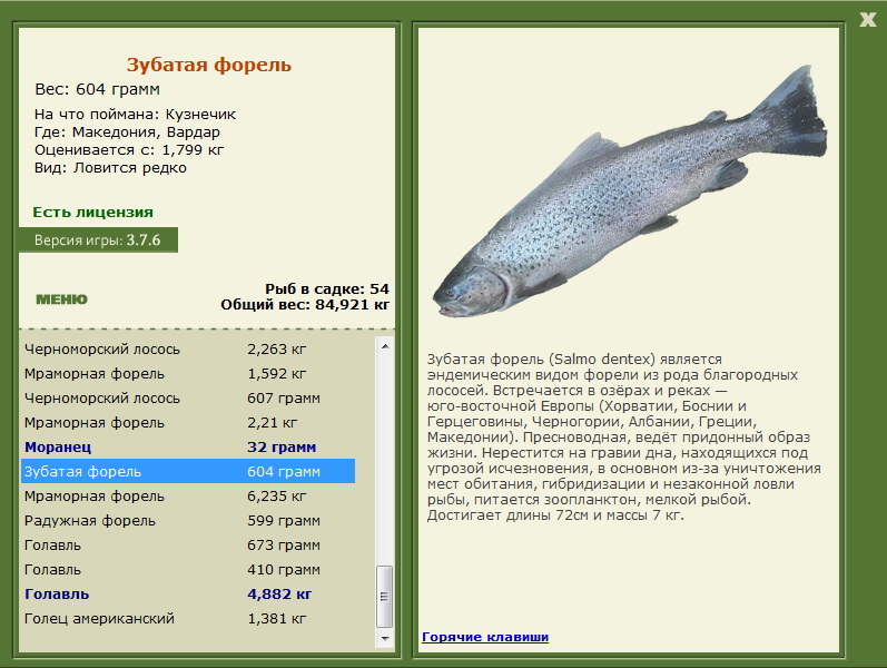 Вардар 