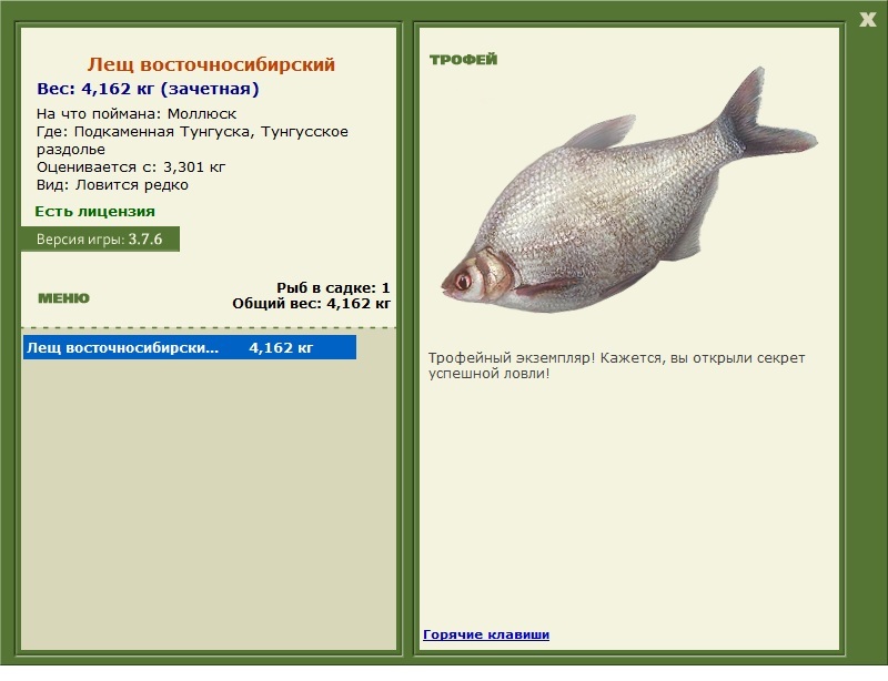 Лещ Восточносибирский 
