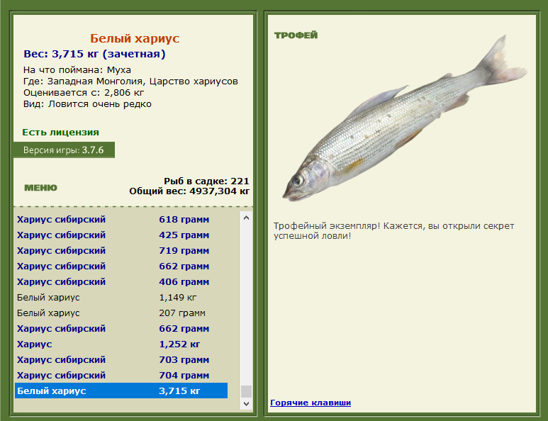 Белый хариус 