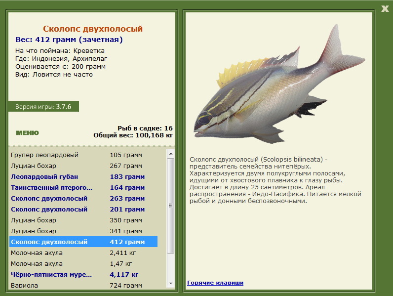 Архипелаг 