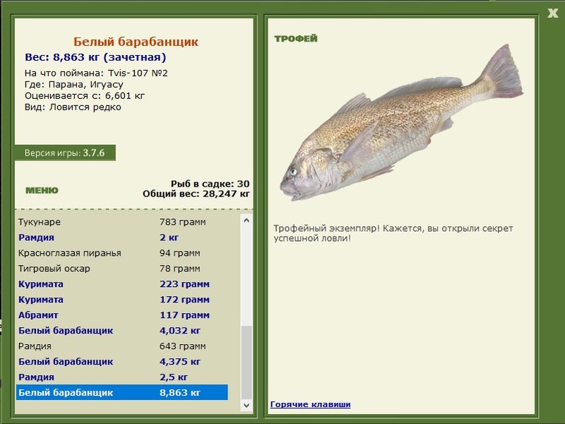 Белый барабанщик 