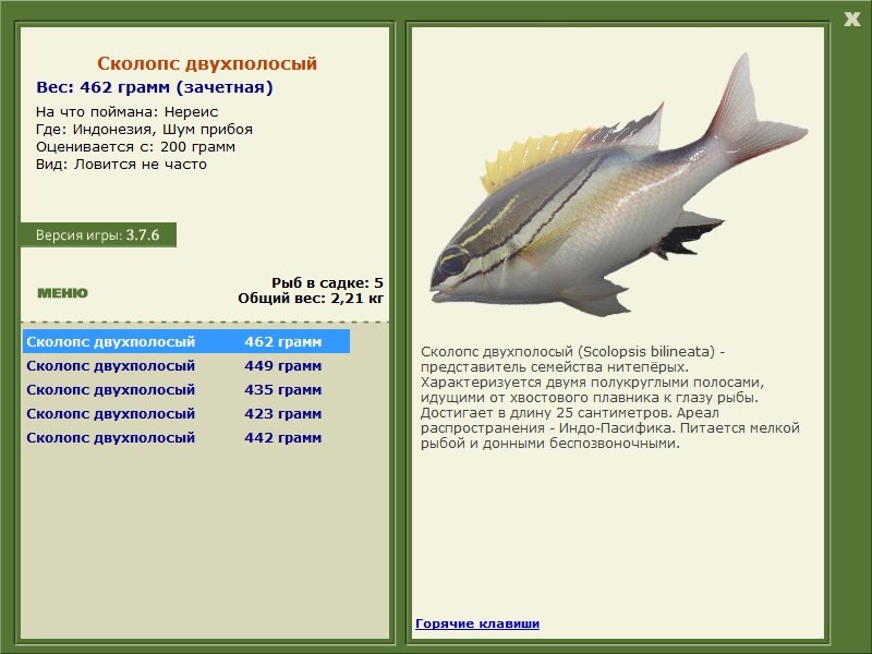 Шум прибоя 