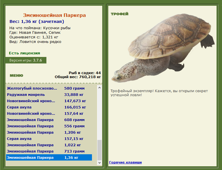 Сепик 