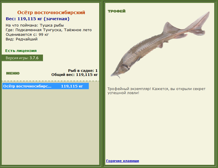 турниры • РУССКАЯ РЫБАЛКА