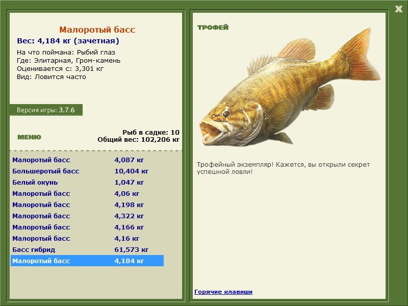 Малоротый басс 