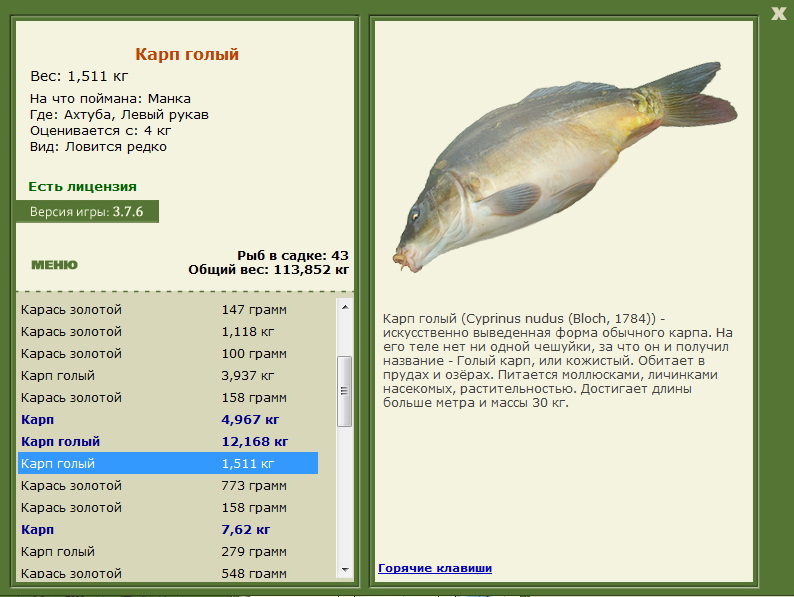 турниры • РУССКАЯ РЫБАЛКА
