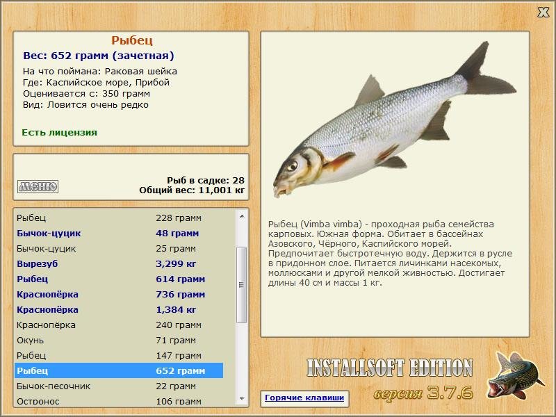 Прибой 
