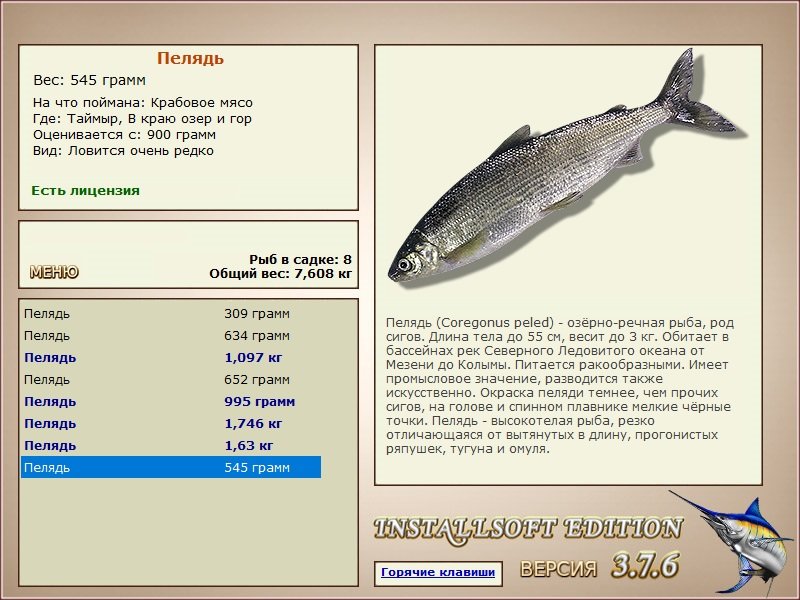 турниры • РУССКАЯ РЫБАЛКА