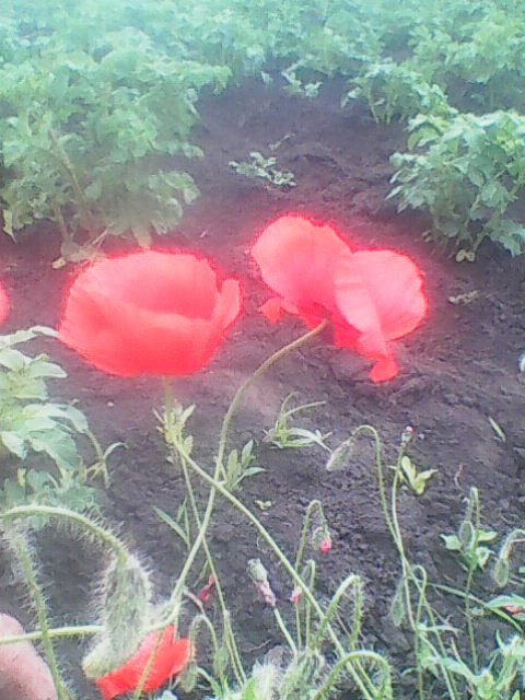  Страница 136 - Alensat